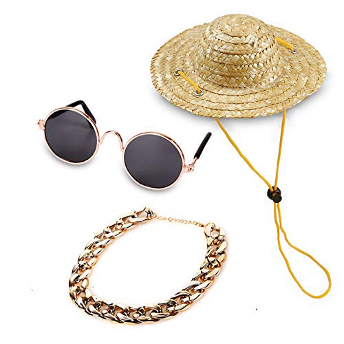 Coole Haustierbrillen und Katzen-Sonnenbrillen, goldfarbene Kette, Kostüm-Dekorationen, verstellbarer Haustier-Strohhut, Sonnenbrille und goldfarbenes Halsband, Set für Katzen und kleine Hunde, Coole Haustierbrillen und Katzen-Sonnenbrillen, goldfarbene Kette, Kostüm-Dekorationen, verstellbarer Haustier-Strohhut, Sonnenbrille und goldfarbenes Halsband, Set für Katzen und kleine Hunde, von Jannity