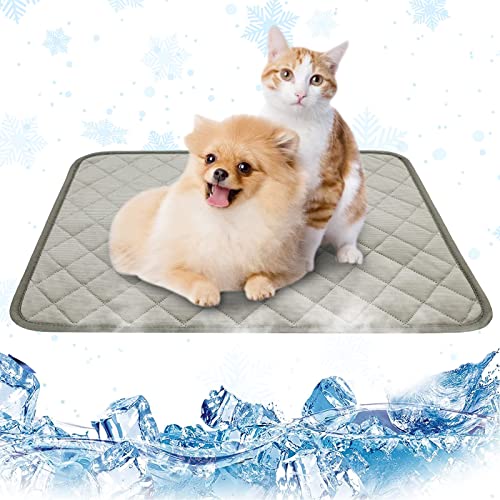 Kühlmatte Für Hunde Nicht Gel, Haustier Kühlmatte Für Katzen, Haustier Hund Selbstkühlende Matte Pad, Kaninchen Kühlmatte, Baby/Tier Kühlmatte Cartoon Ungiftig Sofa Autositz Sommer Eiskühlmatte (Klein, Grau) Kühlmatte Für Hunde Nicht Gel, Haustier Kühlmatte Für Katzen, Haustier Hund Selbstkühlende Matte Pad, Kaninchen Kühlmatte, Baby/Tier Kühlmatte Cartoon Ungiftig Sofa Autositz Sommer Eiskühlmatte (Klein, Grau) von Jannity