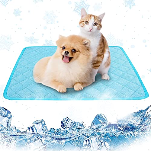 Kühlmatte Für Hunde Nicht Gel, Haustier Kühlmatte Für Katzen, Haustier Hund Selbstkühlende Matte Pad, Kaninchen Kühlmatte, Baby/Tier Kühlmatte Cartoon Ungiftig Sofa Autositz Sommer Eiskühlmatte (X-Large, Blau) Kühlmatte Für Hunde Nicht Gel, Haustier Kühlmatte Für Katzen, Haustier Hund Selbstkühlende Matte Pad, Kaninchen Kühlmatte, Baby/Tier Kühlmatte Cartoon Ungiftig Sofa Autositz Sommer Eiskühlmatte (X-Large, Blau) von Jannity