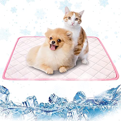 Kühlmatte Für Hunde Nicht Gel, Haustier Kühlmatte Für Katzen, Haustier Hund Selbstkühlende Matte Pad, Kaninchen Kühlmatte, Baby/Tier Kühlmatte Cartoon Ungiftig Sofa Autositz Sommer Eiskühlmatte (XS, Rosa) Kühlmatte Für Hunde Nicht Gel, Haustier Kühlmatte Für Katzen, Haustier Hund Selbstkühlende Matte Pad, Kaninchen Kühlmatte, Baby/Tier Kühlmatte Cartoon Ungiftig Sofa Autositz Sommer Eiskühlmatte (XS, Rosa) von Jannity
