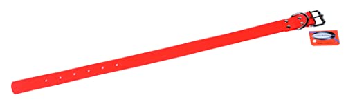 JANUEL - Hundehalsband, Biothane, Länge 55 cm x Breite 25 mm, Orange JANUEL - Hundehalsband, Biothane, Länge 55 cm x Breite 25 mm, Orange von januel