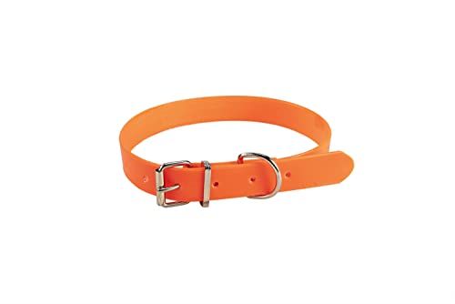 JANUEL - Hundehalsband, PVC, Länge 60 cm x Breite 25 mm, Orange JANUEL - Hundehalsband, PVC, Länge 60 cm x Breite 25 mm, Orange von januel