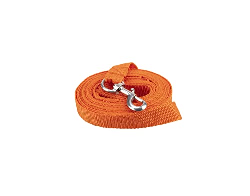 JANUEL - Hundeleine, Polyester, Länge 5 m x Breite 25 mm, Rot JANUEL - Hundeleine, Polyester, Länge 5 m x Breite 25 mm, Rot von januel