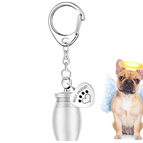 Janurium Zylinder-Asche Andenken – Hunde-Schlüsselanhänger, Feuerbestattungszylinder-Andenken – Gedenkurne mit Pfotenabdruck, Beileidsverlust des Haustiers, Schlüsselanhänger für Hund, Katze, Welpe Janurium Zylinder-Asche Andenken – Hunde-Schlüsselanhänger, Feuerbestattungszylinder-Andenken – Gedenkurne mit Pfotenabdruck, Beileidsverlust des Haustiers, Schlüsselanhänger für Hund, Katze, Welpe von Janurium