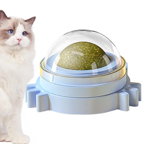 Katzenminze-Bälle für die Wand von Katzen – leichte, lustige Katzensnack-Katzenminze-Bälle | Spielendes Kätzchen zum Kauen und Reinigen der Zähne für kleine und mittelgroße Katzen für Wände, Böden ode Katzenminze-Bälle für die Wand von Katzen – leichte, lustige Katzensnack-Katzenminze-Bälle | Spielendes Kätzchen zum Kauen und Reinigen der Zähne für kleine und mittelgroße Katzen für Wände, Böden ode von Janurium