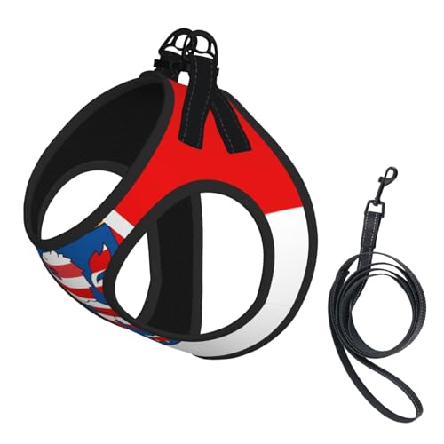 Große Haustier-Leine, Hundegeschirr, kleine Größe, Flagge von Hessen, verstellbar, für Katzen und Hunde, perfekt für Spaziergänge im Freien Große Haustier-Leine, Hundegeschirr, kleine Größe, Flagge von Hessen, verstellbar, für Katzen und Hunde, perfekt für Spaziergänge im Freien von JaoXer