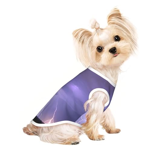 Haustier-T-Shirt, atmungsaktiv, ärmellos, mit Blitz-Sturm-Aufdruck, für kleine und mittelgroße Katzen und Hunde, Chihuahua, Yorkie, Dackel Haustier-T-Shirt, atmungsaktiv, ärmellos, mit Blitz-Sturm-Aufdruck, für kleine und mittelgroße Katzen und Hunde, Chihuahua, Yorkie, Dackel von JaoXer
