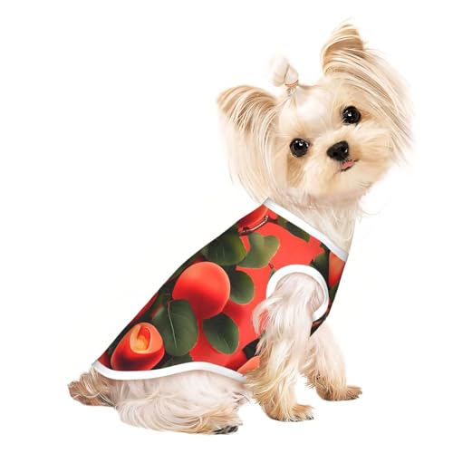 Haustier-T-Shirt, atmungsaktiv, ärmellos, mit rotem Aprikosenaufdruck, für kleine und mittelgroße Katzen und Hunde, Chihuahua, Yorkie, Dackel Haustier-T-Shirt, atmungsaktiv, ärmellos, mit rotem Aprikosenaufdruck, für kleine und mittelgroße Katzen und Hunde, Chihuahua, Yorkie, Dackel von JaoXer