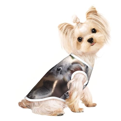 Haustier-T-Shirt, atmungsaktiv, ärmellos, niedlicher Koala-Druck, für kleine und mittelgroße Katzen und Hunde, Chihuahua, Yorkie, Dackel Haustier-T-Shirt, atmungsaktiv, ärmellos, niedlicher Koala-Druck, für kleine und mittelgroße Katzen und Hunde, Chihuahua, Yorkie, Dackel von JaoXer