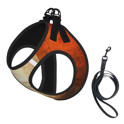 Hundegeschirr für Haustiere, Größe M, klein, Retro-Stil, irische Flagge, verstellbar, für Katzen und Hunde, perfekt für Spaziergänge im Freien Hundegeschirr für Haustiere, Größe M, klein, Retro-Stil, irische Flagge, verstellbar, für Katzen und Hunde, perfekt für Spaziergänge im Freien von JaoXer