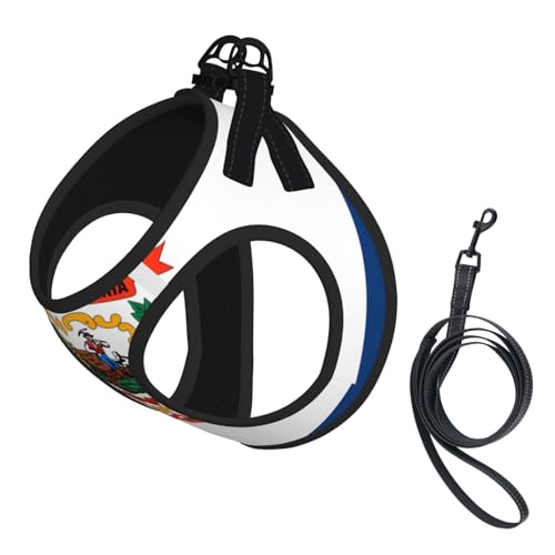 Hundegeschirr für große Haustiere, Größe S, West Virginia-Flagge, verstellbar, für Katzen und Hunde, perfekt für Spaziergänge im Freien Hundegeschirr für große Haustiere, Größe S, West Virginia-Flagge, verstellbar, für Katzen und Hunde, perfekt für Spaziergänge im Freien von JaoXer