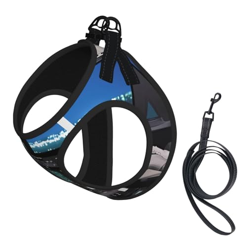 Hundegeschirr für kleine Haustiere, kleine Größe, Flugzeug-Cockpit-Druck, verstellbar, für Katzen und Hunde, perfekt für Spaziergänge im Freien Hundegeschirr für kleine Haustiere, kleine Größe, Flugzeug-Cockpit-Druck, verstellbar, für Katzen und Hunde, perfekt für Spaziergänge im Freien von JaoXer