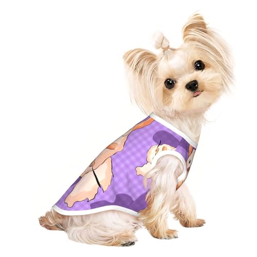 T-Shirt für große Haustiere, atmungsaktiv, ärmellos, Motiv: Wacky Bunny – für kleine und mittelgroße Katzen und Hunde, Chihuahua, Yorkie, Dackel T-Shirt für große Haustiere, atmungsaktiv, ärmellos, Motiv: Wacky Bunny – für kleine und mittelgroße Katzen und Hunde, Chihuahua, Yorkie, Dackel von JaoXer