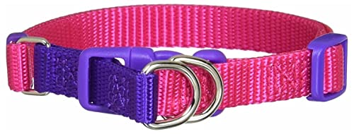 40 Shades of The Rainbow Series. Collar with Double Protection, Pink, Size L von Japan Premium Pet