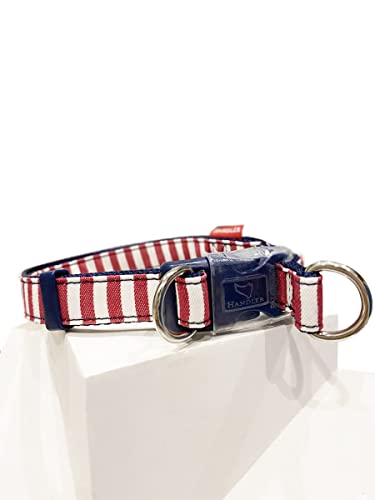 Denim Collar Sea Style with Silicone Protection and Double Mount, S Size von Japan Premium Pet