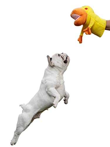 Japan Premium Pet, Hundespielzeug Puppe Entenküken, Stofftier für Hunde, Spielzeug für kleine Rasse Hunde, Stofftier, gelbe Farbe von Japan Premium Pet
