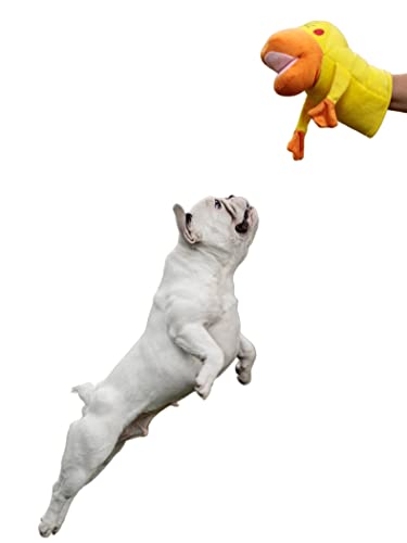 Japan Premium Pet, Hundespielzeug Puppe Entenküken, Stofftier für Hunde, Spielzeug für kleine Rasse Hunde, Stofftier, gelbe Farbe Japan Premium Pet, Hundespielzeug Puppe Entenküken, Stofftier für Hunde, Spielzeug für kleine Rasse Hunde, Stofftier, gelbe Farbe von Japan Premium Pet