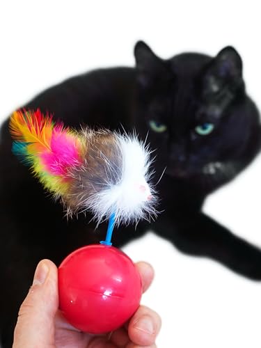 Japan Premium Pet, Katzenspielzeug für Katzen Aller Rassen, Roly-Poly-Maus für Katzen Japan Premium Pet, Katzenspielzeug für Katzen Aller Rassen, Roly-Poly-Maus für Katzen von Japan Premium Pet