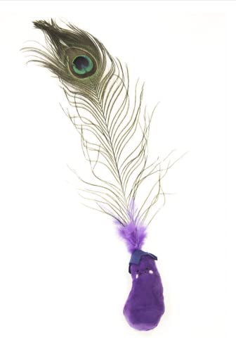 Japan Premium Pet Cat Teaser with Peacock Feather and Catnip, Purple von Japan Premium Pet
