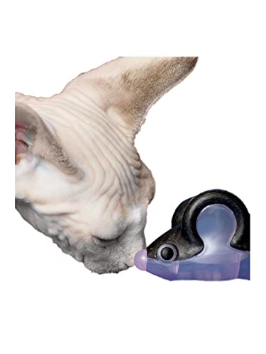 Japan Premium Pet Ein Katzenspielzeug zum Zähneputzen und zur Zahnfleischmassage, eine Plastikmaus mit Matatabi. Japan Premium Pet Ein Katzenspielzeug zum Zähneputzen und zur Zahnfleischmassage, eine Plastikmaus mit Matatabi. von Japan Premium Pet