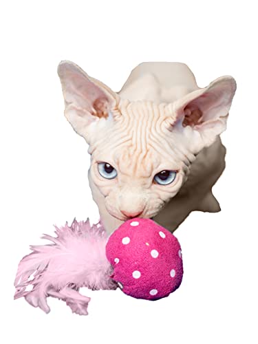 Japan Premium Pet Ein Spielzeug für Katzen und Kätzchen, EIN Ball mit natürlichen Federn und Katzenminze. von Japan Premium Pet