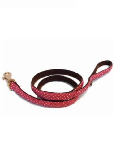 Japan Premium Pet Hybridleine und Halsband im Stil der Ära des napoleonischen Emirs (Style, Size S) von Japan Premium Pet