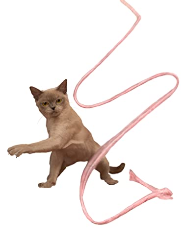 Japan Premium Pet Katzen-Teaser-Spielzeug mit starkem Knirschen, rosa von Japan Premium Pet