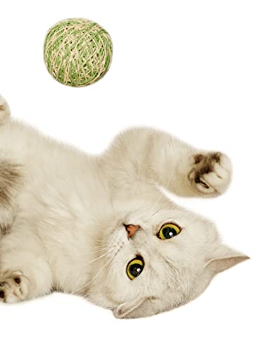 Japan Premium Pet Katzenspielzeug Gewirr aus Fäden, 2 Stück, Pastellfarben von Japan Premium Pet
