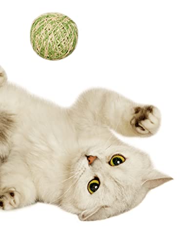 Japan Premium Pet Katzenspielzeug Gewirr aus Fäden, 2 Stück, Pastellfarben von Japan Premium Pet