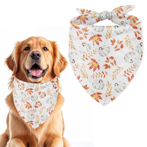 JarThenaAMCS Hundehalstuch, groß, Weiß, Kürbis, Herbstblätter, verstellbares Dreieck, Haustier-Halstuch, Hunde-Lätzchen für Hunde, Katzen, Erntedankfest, Kostümzubehör JarThenaAMCS Hundehalstuch, groß, Weiß, Kürbis, Herbstblätter, verstellbares Dreieck, Haustier-Halstuch, Hunde-Lätzchen für Hunde, Katzen, Erntedankfest, Kostümzubehör von JarThenaAMCS