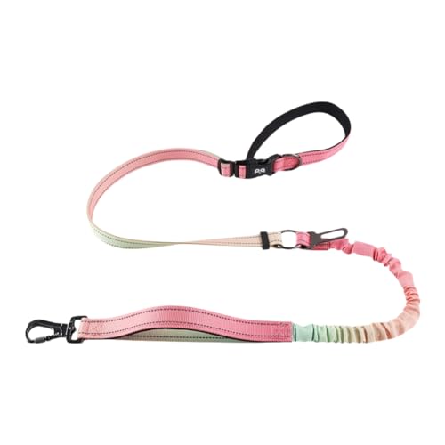 Jasaly Explosionsgeschützte Hundeleine für Haustiere, Taillen-Crossbody, Freie Hände, Hundeleine, Rosa/Grün, Farbverlauf Jasaly Explosionsgeschützte Hundeleine für Haustiere, Taillen-Crossbody, Freie Hände, Hundeleine, Rosa/Grün, Farbverlauf von Jasaly