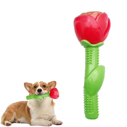 Jatmira Hundespielzeug für kleine, mittelgroße Rassen mit Quietscher, niedliche Rosen-Form, lustiges Kauspielzeug für Hunde Jatmira Hundespielzeug für kleine, mittelgroße Rassen mit Quietscher, niedliche Rosen-Form, lustiges Kauspielzeug für Hunde von Jatmira