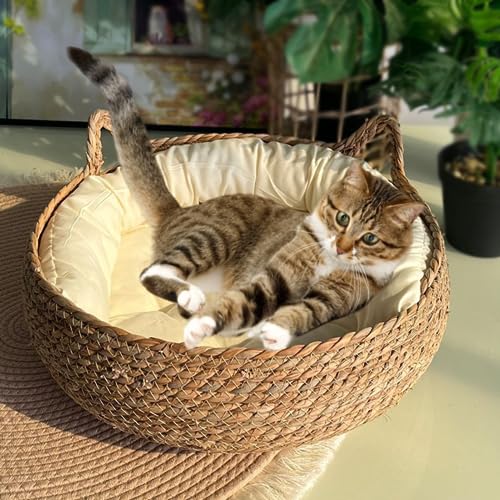 Jatmira Natürliches Katzenbett, Strohnest, gewebtes Haustierhaus, handgefertigt, geflochtenes Rohrkolbenblatt mit weichem Kissen von Jatmira