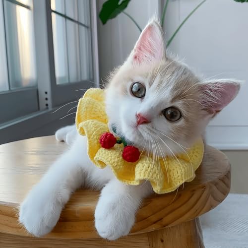 Niedliches Katzenhalsband mit Schleife, Blumenmuster, ästhetisch, gestrickt, für Innenkatzen, Kätzchen und kleine Hunde, Welpen (M (4,1–9 kg)) von Jatmira