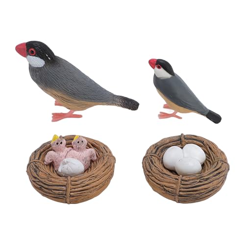 Jauarta Das Finch -Modellsatz Spielt mit Neugier, Schlupfspielzeug für Sandkastendekor und Frühe Ausbildung. Veranschaulichung des Vogelwachstumszyklus mit PVC -Requisiten von Jauarta