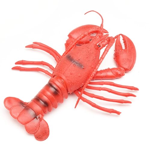 Jauarta Lobster Quietschende Spielzeug Frühe Lehring Weiche Plastische Realistische Simulation Hummerspielzeugfiguren für Kleinkindkinder Jauarta Lobster Quietschende Spielzeug Frühe Lehring Weiche Plastische Realistische Simulation Hummerspielzeugfiguren für Kleinkindkinder von Jauarta