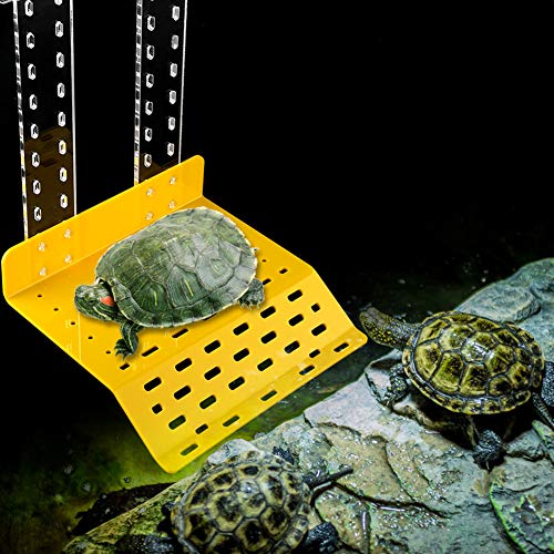 Jauarta Schildkröten-Aalplattform, Reptilien-Schildkröten-Schwimmplattform, Terrasse für Aquarien von Jauarta