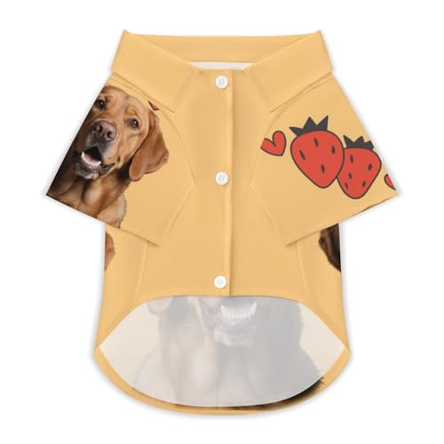 Personalisiertes T-Shirt für Katzen & Hunde - Individuelles Design Mit Ihrem Tierfoto - Bequemer Body für Katzen nach op - Atmungsaktives Polyester (DE/NL/SE/PL, Alphanumerisch, L, XL, 6) von Jaucin