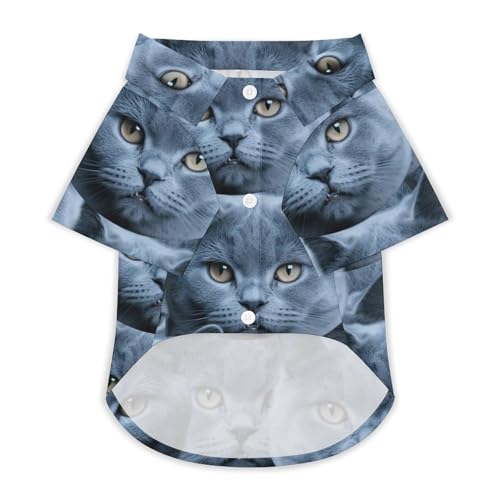 Personalisiertes T-Shirt für Katzen & Hunde - Individuelles Design Mit Ihrem Tierfoto - Bequemer Body für Katzen nach op - Atmungsaktives Polyester (DE/NL/SE/PL, Alphanumerisch, S, M, 1) von Jaucin