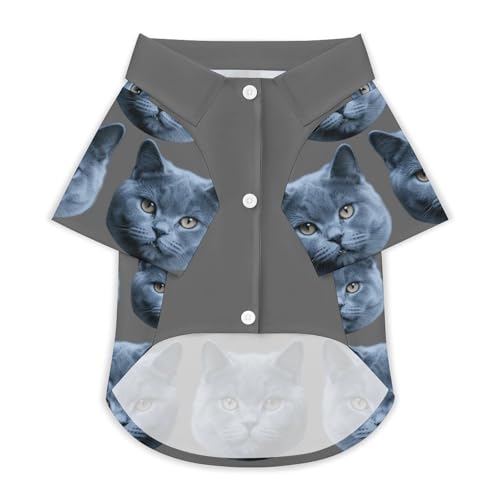 Personalisiertes T-Shirt für Katzen & Hunde - Individuelles Design Mit Ihrem Tierfoto - Bequemer Body für Katzen nach op - Atmungsaktives Polyester (DE/NL/SE/PL, Alphanumerisch, XS, S, 2) von Jaucin