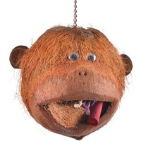 Java Papageienspielzeug Coco Monkey Java Papageienspielzeug Coco Monkey von Java