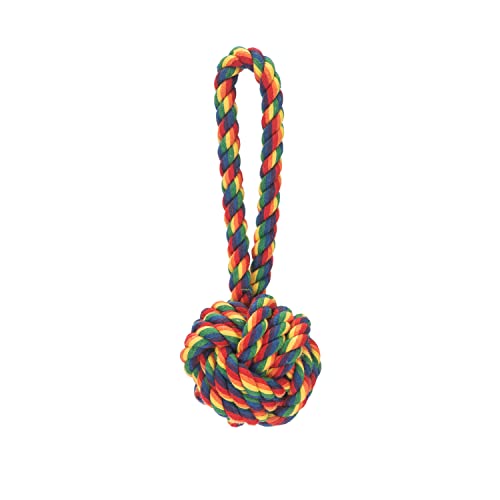 Jax & Bones Hundespielzeug aus Seil, 7,6 cm, Regenbogen, keltischer Knoten, Zugspielzeug für Hunde – Premium-Tauziehen für aggressive Kauer von Jax & Bones