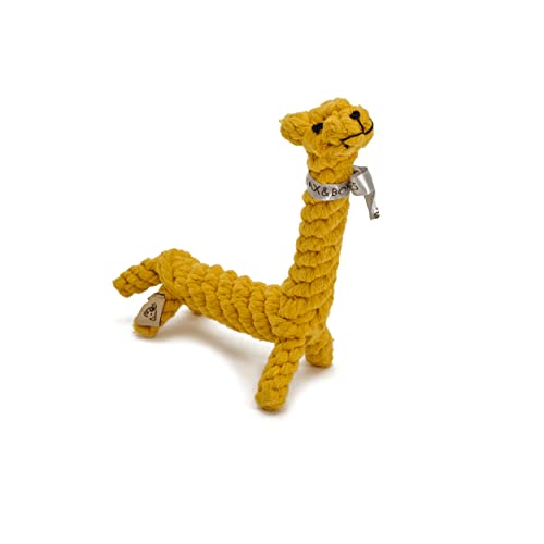 Jax & Bones Hundespielzeug aus Seil für moderate Kauer – 22,9 cm Zugspielzeug für Hunde – kleines Tauziehen Spielzeug für alle Rassen | Jerry die Giraffe von Jax & Bones