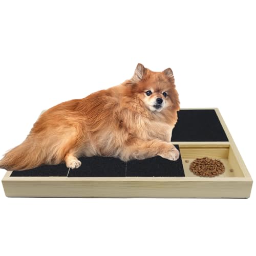 Hunde-Kratzunterlage für Nägel, Nagelkratzbrett, Nagelkratzpad mit Leckerli-Box, Haustier-Schermaschine – langlebig, tragbar, Katzenkratzunterlage von Jaxbo