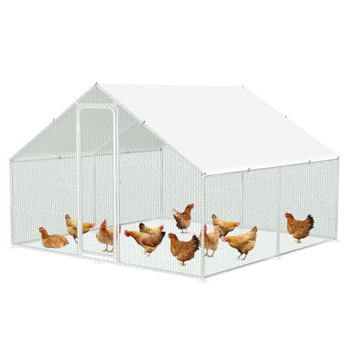Jaxguom Hühnerstall Freilaufgehege 3x3x2m Verzinkter Stahl Kleintierstall Hühnerauslauf Dach Geflügelstall mit Sonnenschutzdach und Tür für Haustierkäfig Hühnerkäfig Vogelkäfig Kleintiere Pflanzen Jaxguom Hühnerstall Freilaufgehege 3x3x2m Verzinkter Stahl Kleintierstall Hühnerauslauf Dach Geflügelstall mit Sonnenschutzdach und Tür für Haustierkäfig Hühnerkäfig Vogelkäfig Kleintiere Pflanzen von Jaxguom