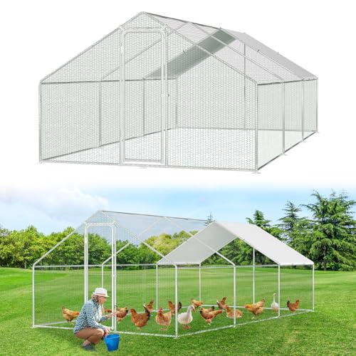 Jaxguom Hühnerstall Freilaufgehege 3x6x2m Verzinkter Stahl Kleintierstall Hühnerauslauf Dach Geflügelstall mit Sonnenschutzdach und Tür für Haustierkäfig Hühnerkäfig Vogelkäfig Kleintiere Pflanzen Jaxguom Hühnerstall Freilaufgehege 3x6x2m Verzinkter Stahl Kleintierstall Hühnerauslauf Dach Geflügelstall mit Sonnenschutzdach und Tür für Haustierkäfig Hühnerkäfig Vogelkäfig Kleintiere Pflanzen von Jaxguom