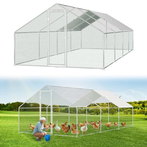 Jaxguom Hühnerstall Freilaufgehege 3x8x2m Verzinkter Stahl Kleintierstall Hühnerauslauf Dach Geflügelstall mit Sonnenschutzdach und Tür für Haustierkäfig Hühnerkäfig Vogelkäfig Kleintiere Pflanzen Jaxguom Hühnerstall Freilaufgehege 3x8x2m Verzinkter Stahl Kleintierstall Hühnerauslauf Dach Geflügelstall mit Sonnenschutzdach und Tür für Haustierkäfig Hühnerkäfig Vogelkäfig Kleintiere Pflanzen von Jaxguom