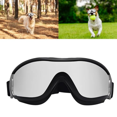 Hundebrille für kleine Hunde, Winddichte Schutzbrille für Outdoor-Aktivitäten, Verstellbare Hundesonnenbrille mit UV-Schutz, Ideal für Motorradfahren und Spaziergänge, Größe 21.5 * 6 cm Hundebrille für kleine Hunde, Winddichte Schutzbrille für Outdoor-Aktivitäten, Verstellbare Hundesonnenbrille mit UV-Schutz, Ideal für Motorradfahren und Spaziergänge, Größe 21.5 * 6 cm von JazRvr