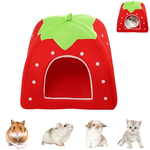 JazRvr 1 Stück meerschweinchen, meerschweinchen zubehoeres, meerschweinchenes, meerschweinchenes Spielzeug, meerschweinchens zubehör, Ratten Zubehörs Für Zwergkaninchen, Hamster von JazRvr