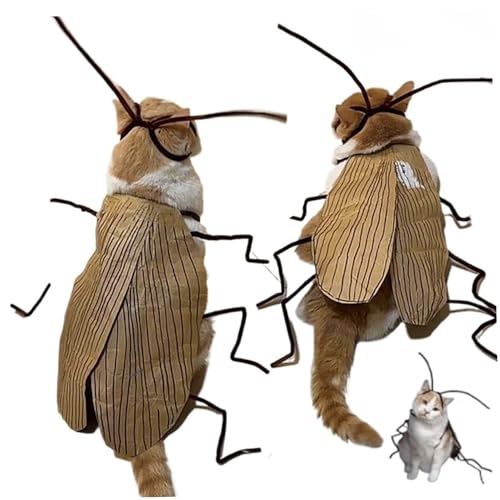 2 Sets Katzen Halloween Kostüme Material Kit, DIY Funny Dog Cockroach Kostüm Kit, Katzen -Outfit für Halloween -Party -Cosplay -Dekor 2 Sets Katzen Halloween Kostüme Material Kit, DIY Funny Dog Cockroach Kostüm Kit, Katzen -Outfit für Halloween -Party -Cosplay -Dekor von Jcasbdn